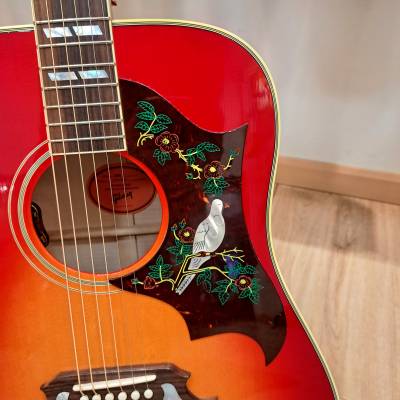 Store Special Product - Gibson Dove